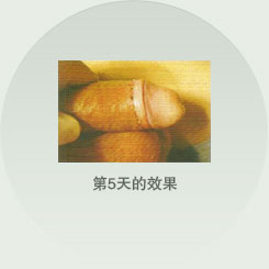 第5天的效果