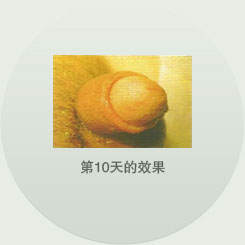 第10天的效果